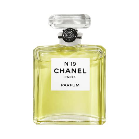 chanel 19 parfum|chanel 19 perfume price.